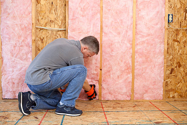Best Commercial Insulation in Boutte, LA