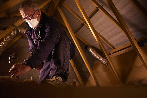 Best Insulation Maintenance and Repair in Boutte, LA